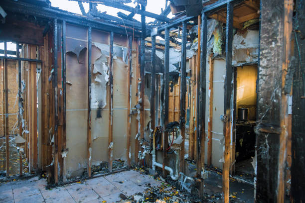 Professional Fire Damage Assessment technician working in Waverly, OH